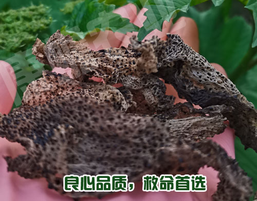 chanyi0.jpg