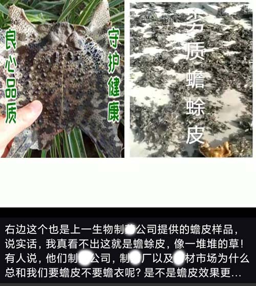 1660805198116358.jpg 劣质蟾蜍皮.jpg