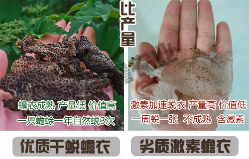 1669808373187996.jpg 比产量.jpg