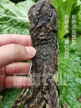 1669813436190784.jpg 微信图片_20221130210500.jpg