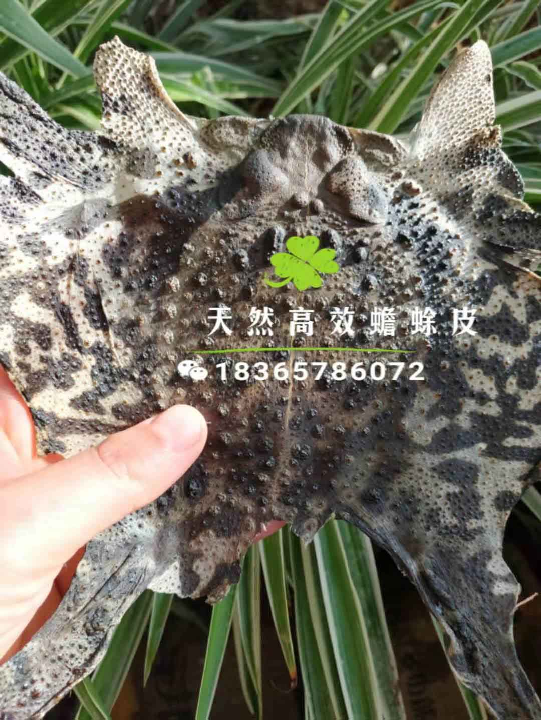 微信图片_20191214121351.jpg
